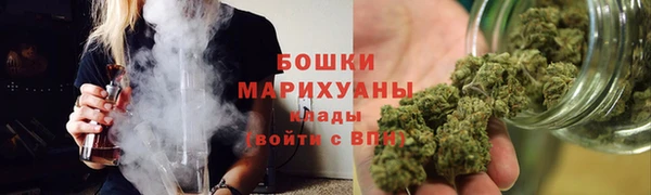 гидра Пересвет