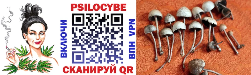 даркнет сайт  Мурино  omg как зайти  Галлюциногенные грибы мухоморы 