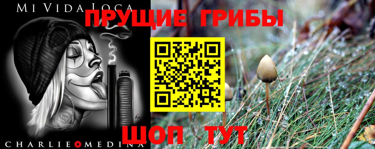 Псилоцибиновые грибы GOLDEN TEACHER Мурино