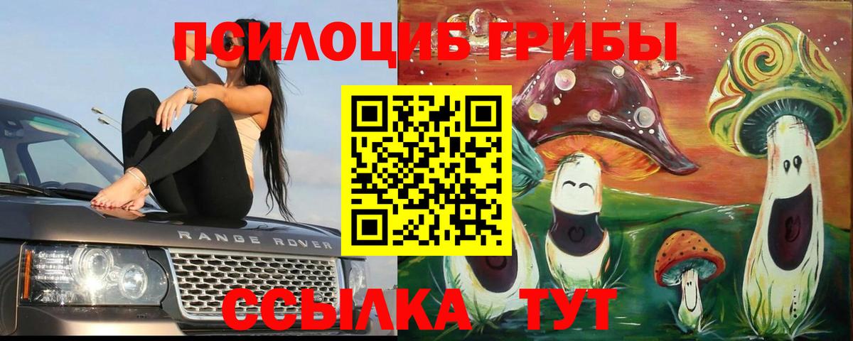 Мурино  Галлюциногенные грибы мицелий  Вход с VPN 